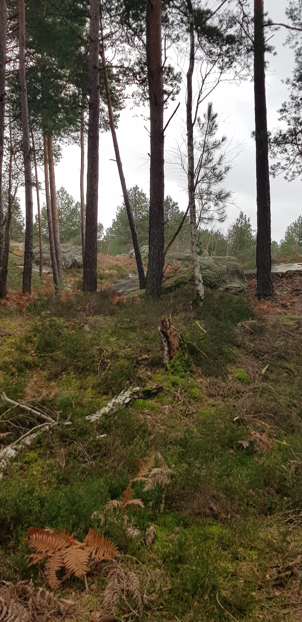 Recloses le 4 Janvier 2023 avec Laurent - Rando Moissy