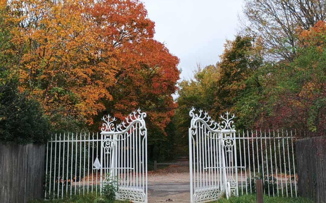Le 21 octobre, Rougeau avec Thierry, photo de Patrick dessez