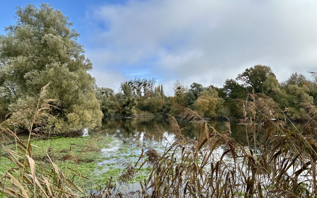 Le Rocher Mignot le 30 octobre avec Michel. Photos d’Isabelle et Michel