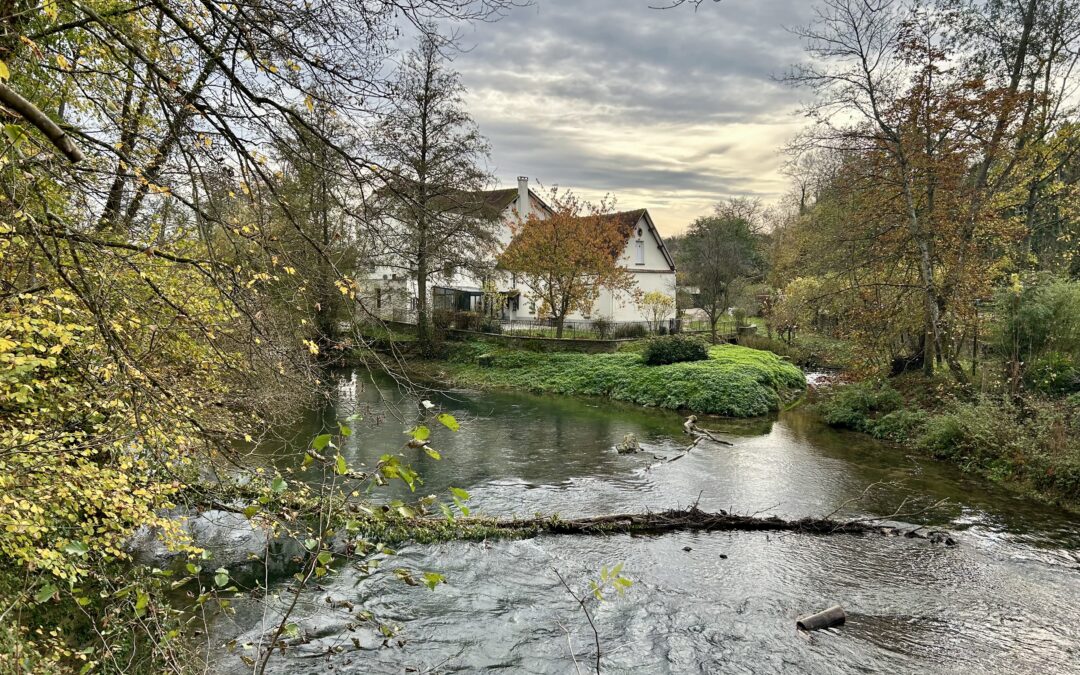 Les boucles du Grand-Morin le 13 novembre avec Michel. Photos d’Isabelle et Michel