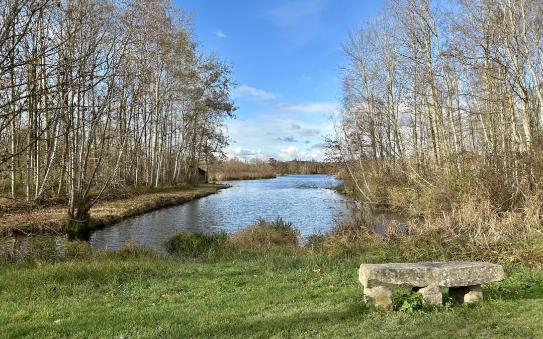 Mennecy et les marais de l’Essonne le 20 novembre avec Éric. Photos d’Isabelle et Michel