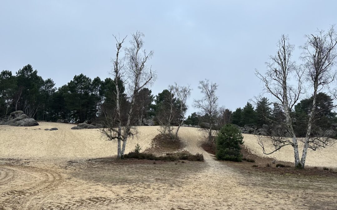 La côte des Maquisards le 11 décembre avec Roger et Gilles. Photos d’Isabelle