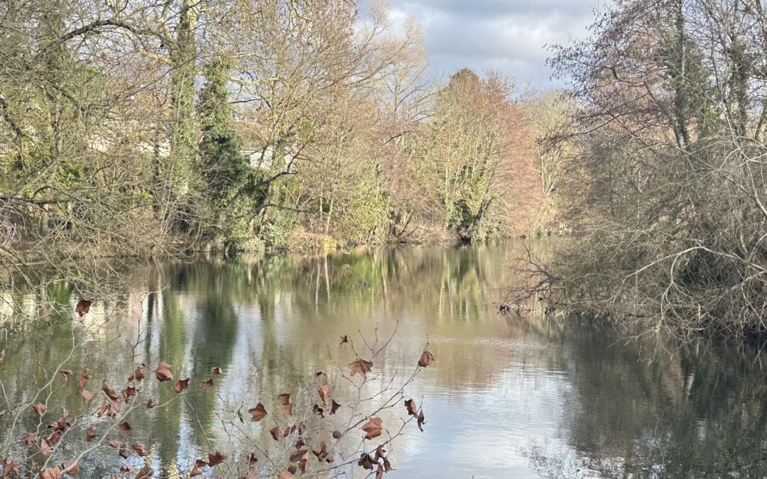 Yerres le 22 janvier avec Francis. Photos d’Isabelle et Jean-Claude.