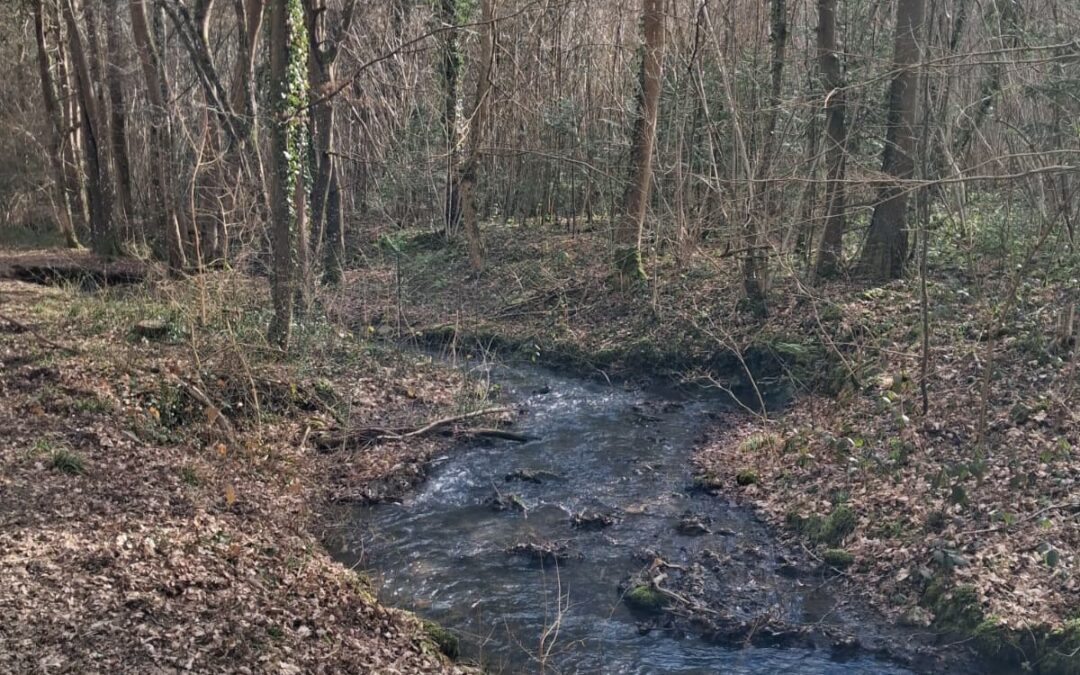 Rougeau avec Guy le 25 Février, photos de Nadine