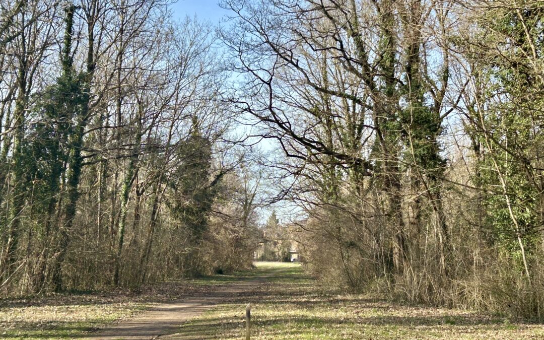 Vaux le PENIL le 26/02 avec Gilles, photos de j-Claude