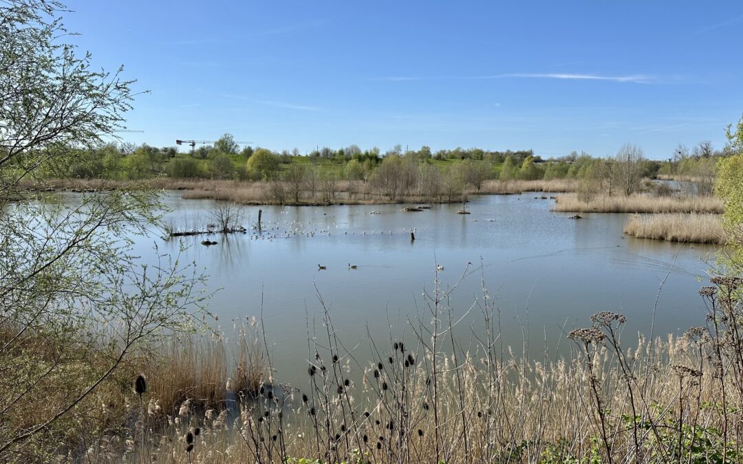 Moissy-Cramayel le 17 mars avec Thierry. Photos d’Isabelle.