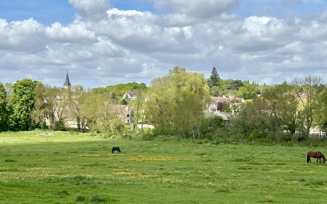 Servon – Mandres le 16 avril avec Francis. Photos d’Isabelle et Michel