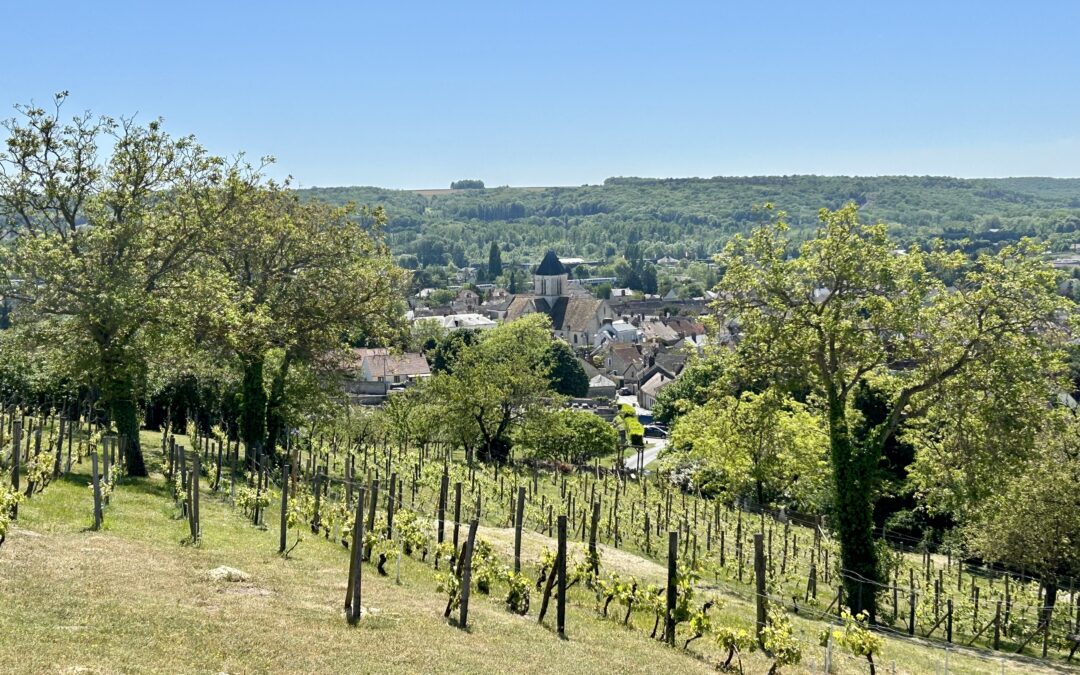 Les vignes d’Étréchy le 30 avril avec Michel. Photos de Michel