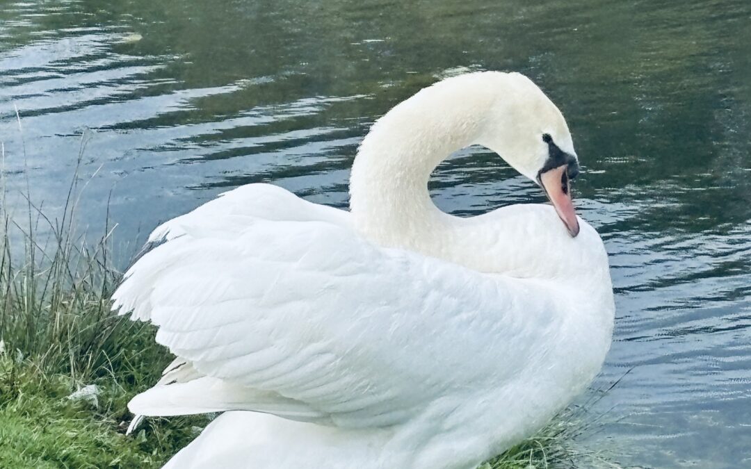 L’espace de la Motte avec , Roger, Bruno et Thierry, photos de roger