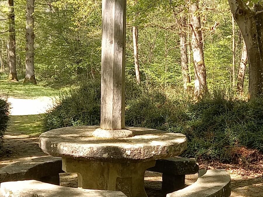 Rougeau le 14/04  avec guy et anniversaire de Gilbert, photos de J Claude