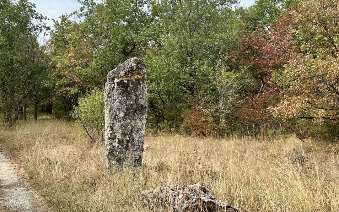 Boigneville – Vallée de l’Essonne le 27/08 avec Michel. Photos de Michel