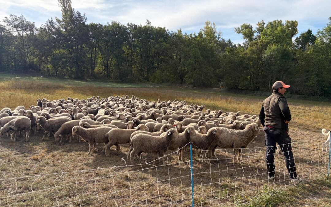 Drôme, 2 eme Jour..dur..dur.