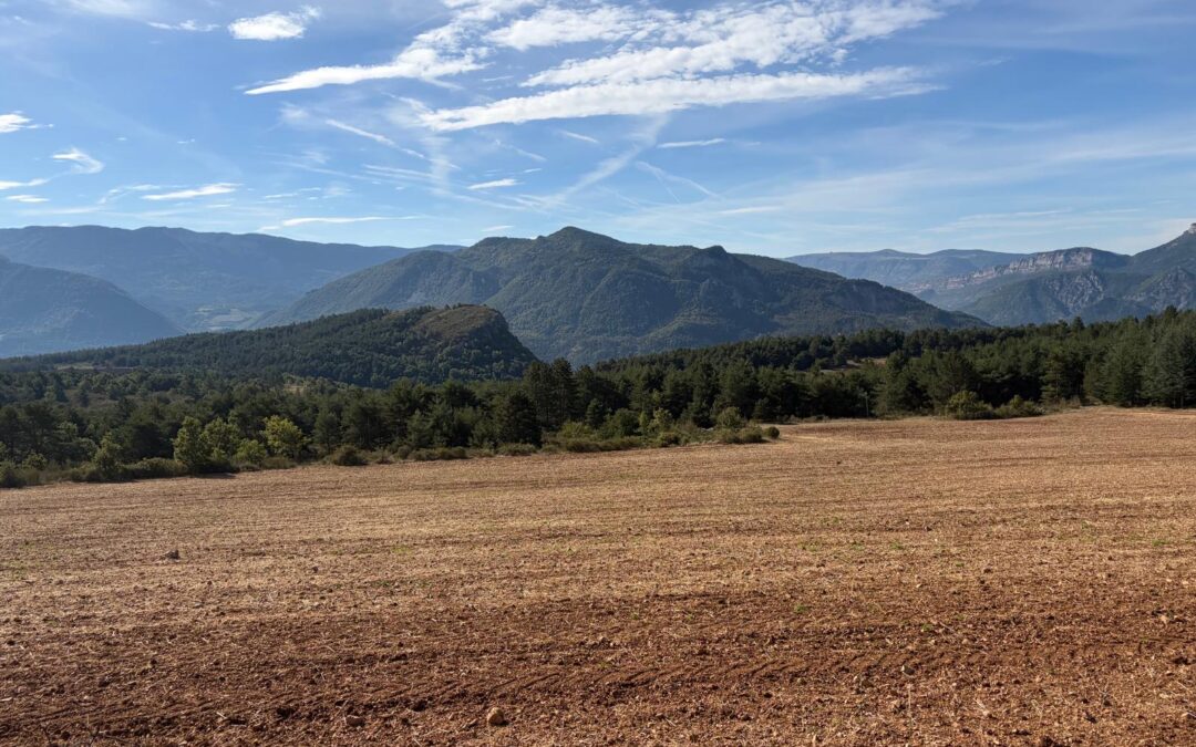 Drome…1er Jour photos M Ropert & Assiba